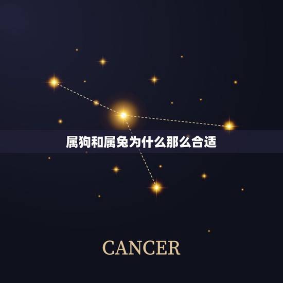 属狗和属兔为什么那么合适,属狗和属兔能在一起吗? 属狗和属兔为什么那么合适,属狗和属兔能在一起吗?