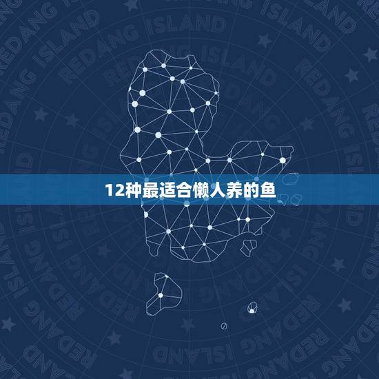 12种最适合懒人养的鱼，适合家里养的鱼有哪些