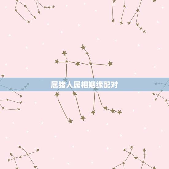 属猪人属相姻缘配对,属猪人命里带二婚 属猪人属相姻缘配对,属猪人命里带二婚