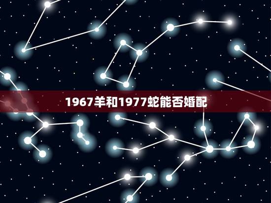 1967羊和1977蛇能否婚配,属蛇的和属羊的婚配 1967羊和1977蛇能否婚配,属蛇的和属羊的婚配