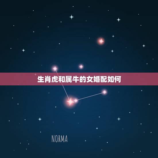 生肖虎和属牛的女婚配如何，属牛和属虎的婚配如何