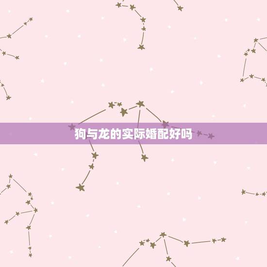 狗与龙的实际婚配好吗，男属狗与女属龙配婚好吗