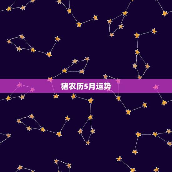 猪农历5月运势,2o16年属猪农历5月出生的运势 猪农历5月运势,2o16年属猪农历5月出生的运势