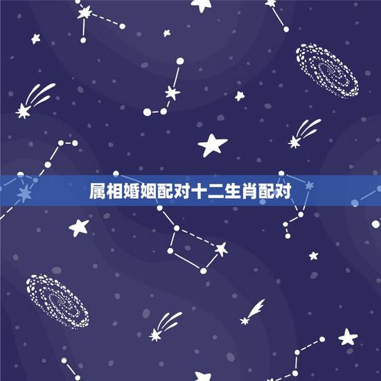 属相婚姻配对十二生肖配对,十二属相婚姻相合 属相婚姻配对十二生肖配对,十二属相婚姻相合