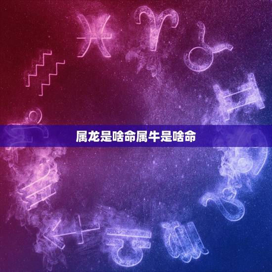 属龙是啥命属牛是啥命,属龙的适合公司名称 属龙是啥命属牛是啥命,属龙的适合公司名称