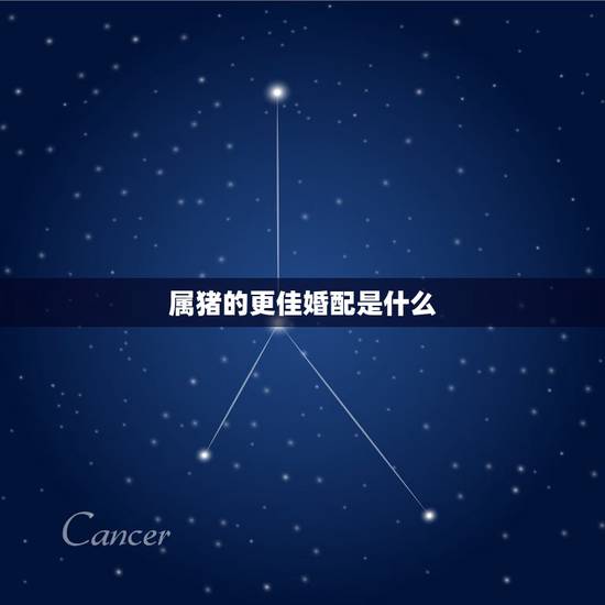 属猪的更佳婚配是什么，猪男更好婚配