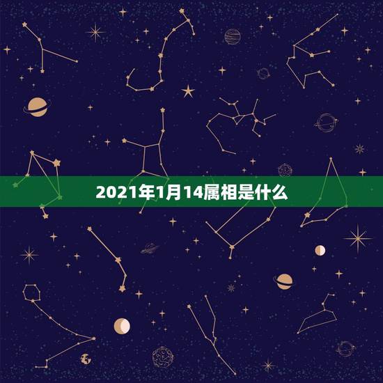 2021年1月14属相是什么，2021年1月份出生的宝宝是什么属相