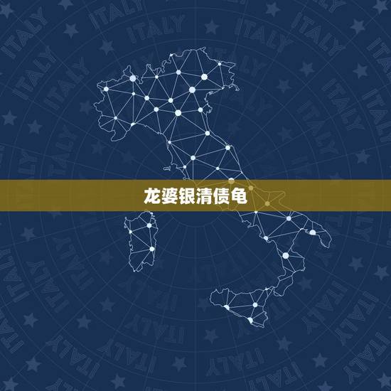 龙婆银清债龟,清债龟可以给别人碰吗? 龙婆银清债龟,清债龟可以给别人碰吗?
