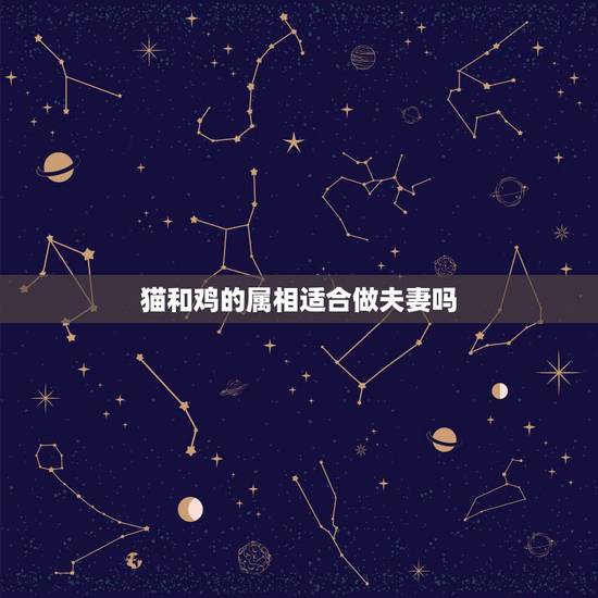 猫和鸡的属相适合做夫妻吗,属鸡的和什么属相配婚最好 猫和鸡的属相适合做夫妻吗,属鸡的和什么属相配婚最好