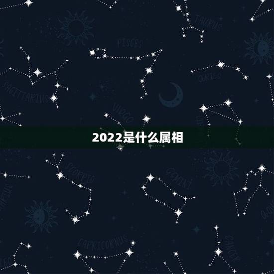 2022是什么属相，2022年是什么生肖