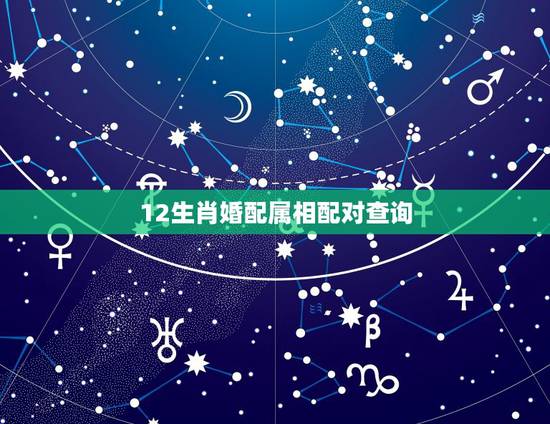 12生肖婚配属相配对查询,12生肖更佳婚配 12生肖婚配属相配对查询,12生肖更佳婚配