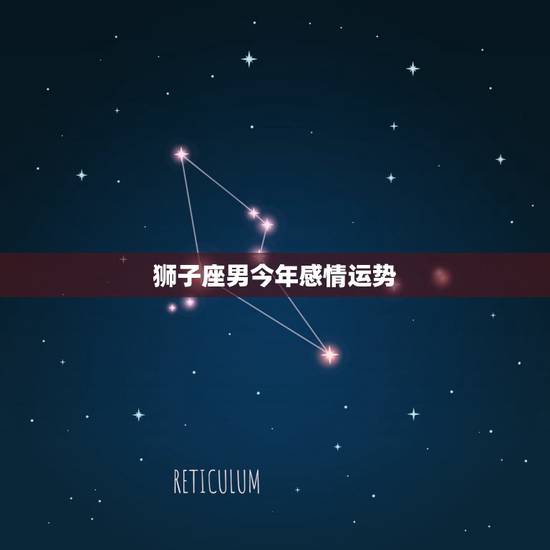 狮子座男今年感情运势，狮子座男生今年运势89年的
