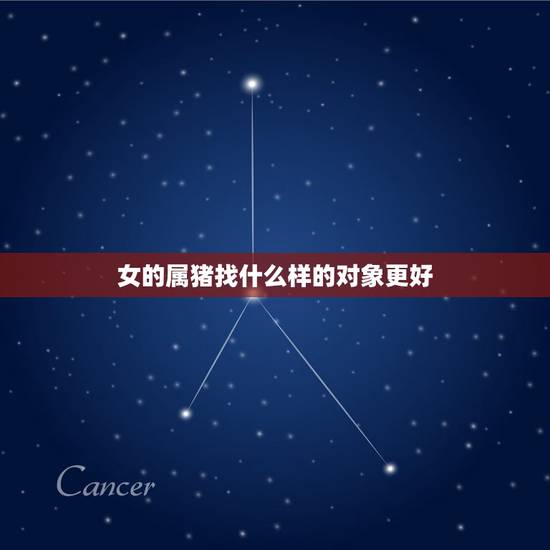 女的属猪找什么样的对象更好，女猪和什么属相更好