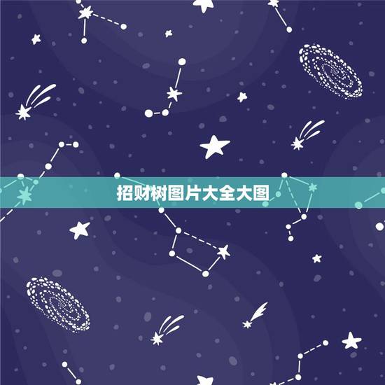 招财树图片大全大图,谁知道发财树和招财树的区别,请附上图片 招财树图片大全大图,谁知道发财树和招财树的区别,请附上图片