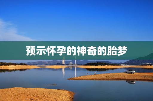 预示怀孕的神奇的胎梦,神奇的胎梦,到底准不准? 预示怀孕的神奇的胎梦,神奇的胎梦,到底准不准?