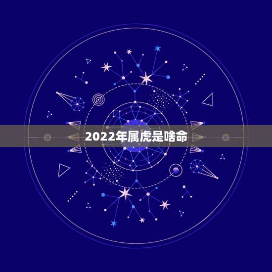 2022年属虎是啥命,2022年属虎人的命运 2022年属虎是啥命,2022年属虎人的命运