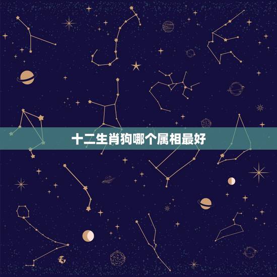 十二生肖狗哪个属相最好,十二生肖当中,哪个属相最好? 十二生肖狗哪个属相最好,十二生肖当中,哪个属相最好?