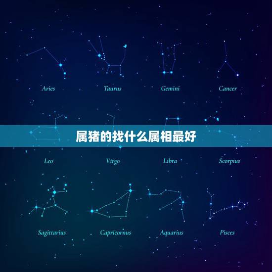 属猪的找什么属相最好,属猪的和什么属相最配 属猪的找什么属相最好,属猪的和什么属相最配