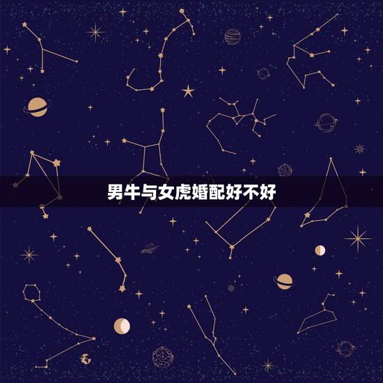 男牛与女虎婚配好不好，牛和虎的婚配怎么样