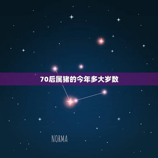 70后属猪的今年多大岁数，70后属猪的今年多大