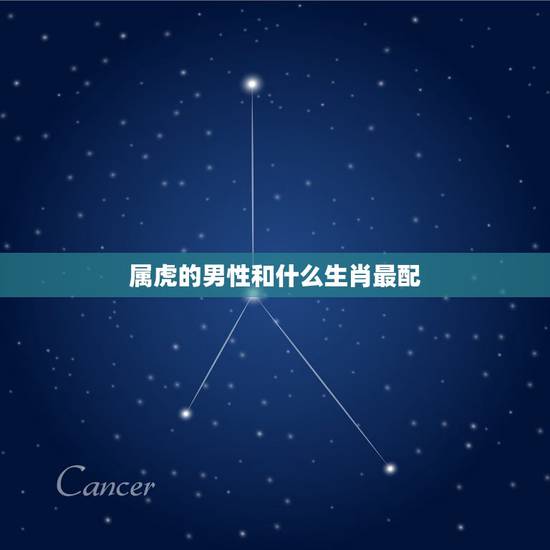 属虎的男性和什么生肖最配,属虎的和什么属相最配 属虎的男性和什么生肖最配,属虎的和什么属相最配