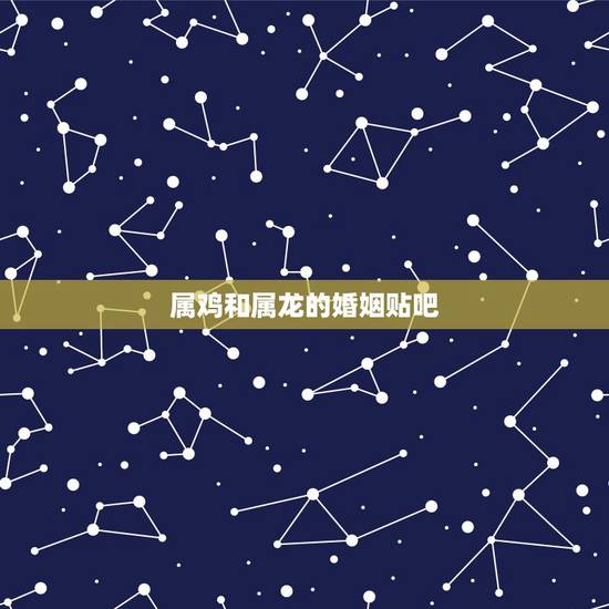 属鸡和属龙的婚姻贴吧，属龙和属鸡的婚姻如何