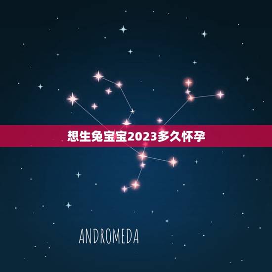 想生兔宝宝2023多久怀孕，2011年准备生个兔宝宝要具体什么时间怀孕