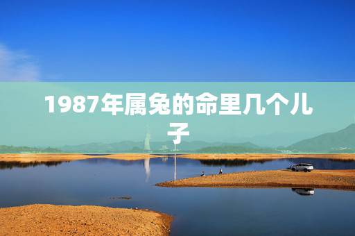 1987年属兔的命里几个儿子，2个属兔的人生什么属相的孩子好