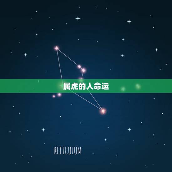 属虎的人命运，2015年属虎农历11月10出生的人命运