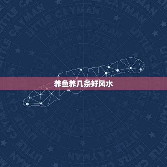 养鱼养几条好风水，养几条鱼风水最好