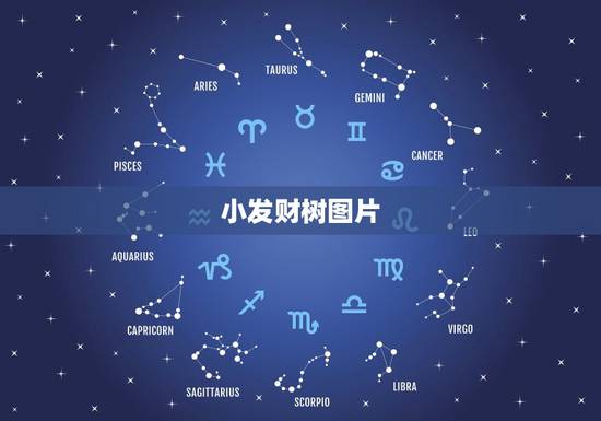 小发财树图片，小发财树一般的用什么土呢为什么总也养不好