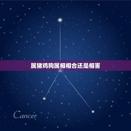 属猪鸡狗属相相合还是相害，属蛇和什么生肖相克