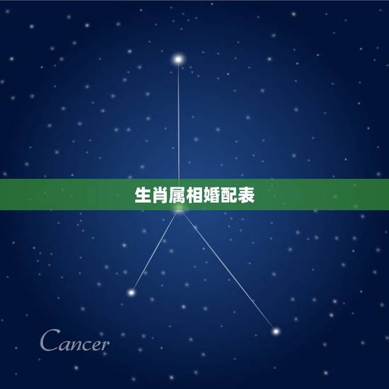 生肖属相婚配表,生肖配对表 生肖属相婚配表,生肖配对表