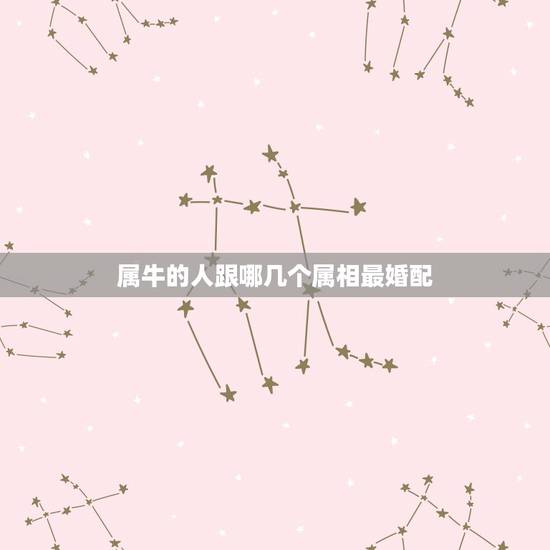 属牛的人跟哪几个属相最婚配,属牛的和什么属相最配? 属牛的人跟哪几个属相最婚配,属牛的和什么属相最配?
