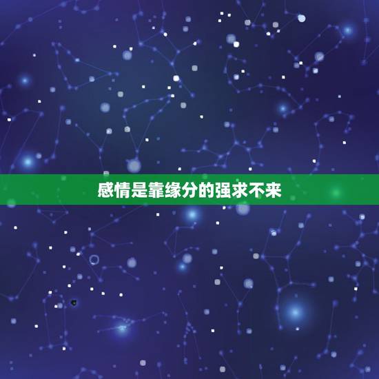 感情是靠缘分的强求不来，爱情是靠缘分？而不是靠争取？