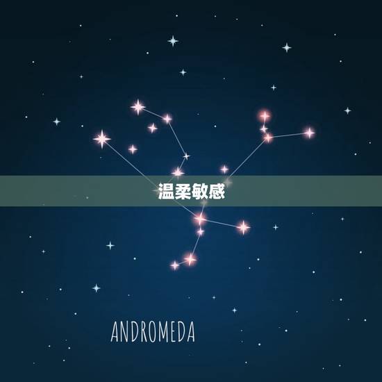 温柔敏感 温柔敏感