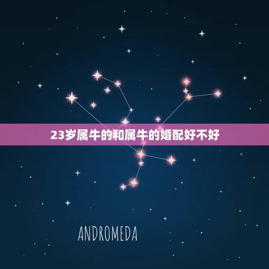 23岁属牛的和属牛的婚配好不好,牛和牛相配的姻缘好吗 23岁属牛的和属牛的婚配好不好,牛和牛相配的姻缘好吗