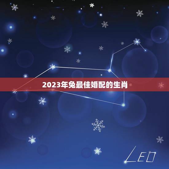 2023年兔最佳婚配的生肖,属兔的能和哪些属相配对? 2023年兔最佳婚配的生肖,属兔的能和哪些属相配对?