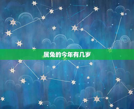 属兔的今年有几岁，兔子今年几岁2022