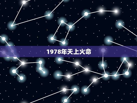 1978年天上火命，1978天上火命的人禁忌