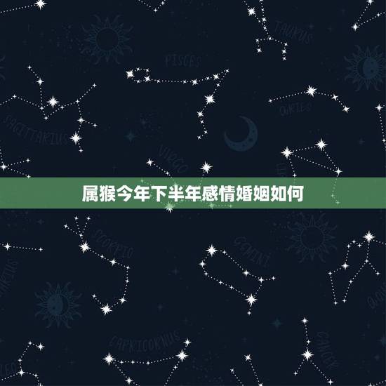 属猴今年下半年感情婚姻如何，有男属猴和女属羊结婚的吗？感情怎么样？婚姻