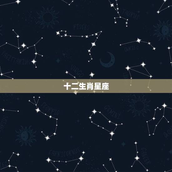 十二生肖星座，十二生肖和星座能对应吗？