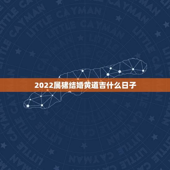 2022属猪结婚黄道吉什么日子,1995年属猪姻缘 2022属猪结婚黄道吉什么日子,1995年属猪姻缘