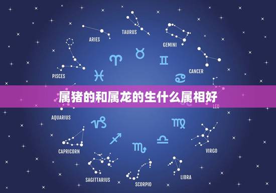属猪的和属龙的生什么属相好，属猪和属龙的生小孩什么生肖好