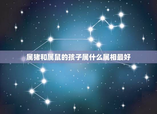 属猪和属鼠的孩子属什么属相最好，属猪和属鼠的人生什么属相的孩子最好
