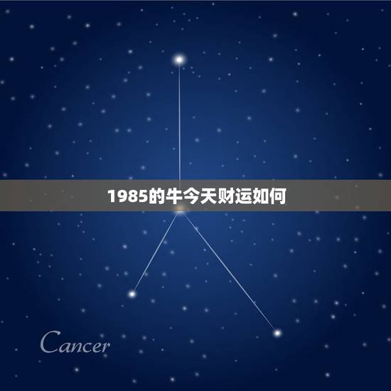1985的牛今天财运如何 1985年属牛今年运势 1985的牛今天财运如何 1985年属牛今年运势