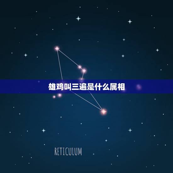 雄鸡叫三遍是什么属相，鸡啼三遍天色早，左右逢源一高人。是什么生肖啊？