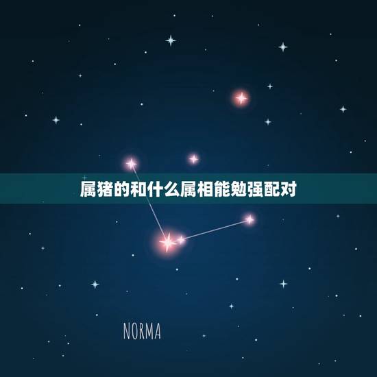 属猪的和什么属相能勉强配对,属猪的人和什么属相最配 属猪的属相婚配表 属猪的和什么属相能勉强配对,属猪的人和什么属相最配 属猪的属相婚配表