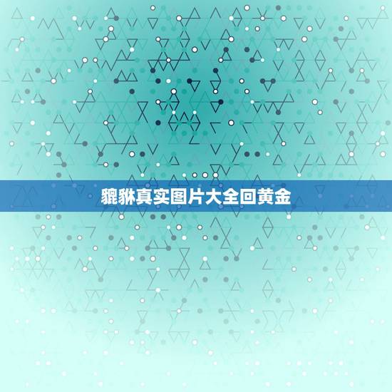 貔貅真实图片大全回黄金，黄金貔貅