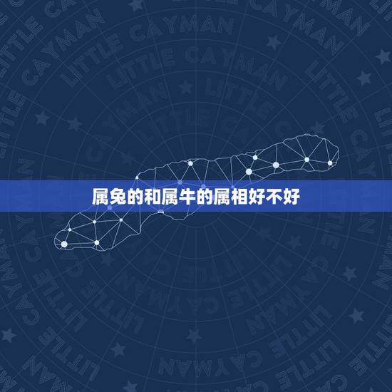 属兔的和属牛的属相好不好，属兔和属牛的可以不可以相配
